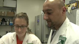 Make A Difference In Cancer With Medical Research