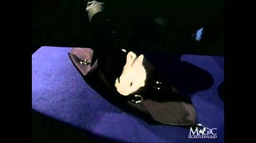 HOW TO PULL A RABBIT OUT OF A HAT!