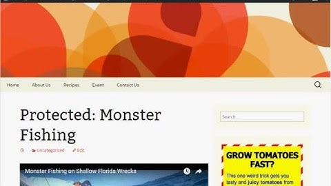 How to Create A Password Protected or Private Post in WordPress?