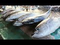 Yellowfin Tuna Cutting Skills❗🔥 live broadcast from Jembatan Puri Fish Market, Sorong