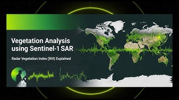 Vegetatieanalyse met Sentinel-1 SAR-gegevens via radarvegetatie-index (RVI) 🛰️