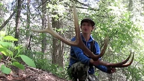 2016 North Idaho Elk Shed Hunting and Spring Bear Hunting ( Part 2 ) Brandon Pitcher