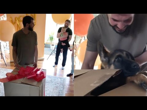 Husband Gets His Dream Puppy As Surprise Birthday Present