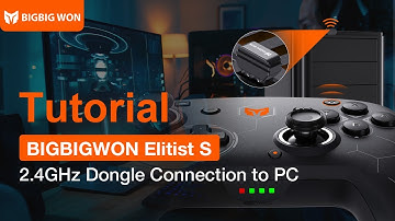 BIGBIG WON Elitist S-2.4GHz Wireless Dongle Connection to Windows PC