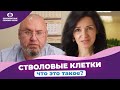 СТВОЛОВЫЕ КЛЕТКИ что это такое? Покровский банк стволовых клеток