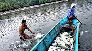 TEHNIK MENJARING TERGILA TRADISIONAL|| SEKALI PASANG DAPAT RATUSAN KILO