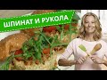 Что приготовить с руколой и шпинатом: простые рецепты от Юлии Высоцкой