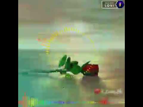 წითელი ვარდები🥀💓