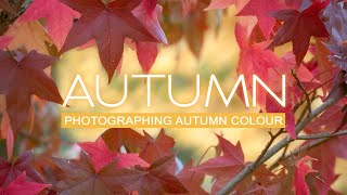 Tips for photographing AUTUMN COLOUR | Landscape Photography