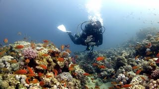 Scuba Diving Red Sea - Dive Sites of Dahab (Egypt 2015)