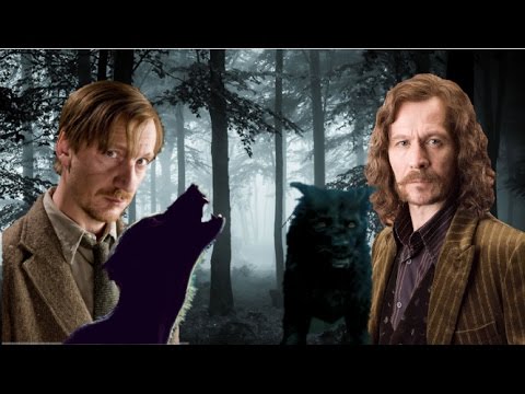 Download Why Did Sirius Black Attack Remus Lupin First?