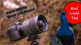 Sigma 600mm Mirror Lens Review and Real World Test | Best cheap super  telephoto lens for Mirrorless?