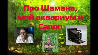 Про Шамана, мой аквариум, и новый Canon!