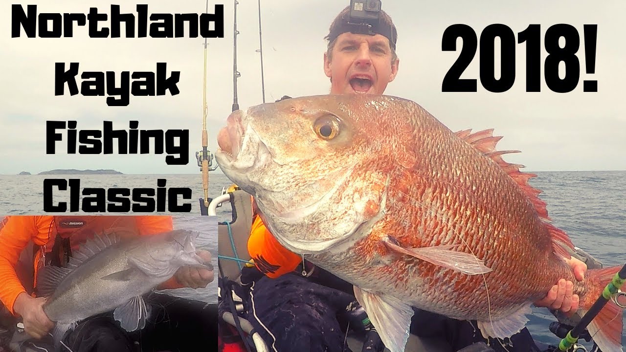 Hapuku and Big Snapper on day 1 of the 2018 Northland kayak fishing