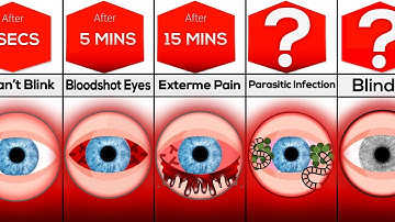 Timeline: What If You Stopped Blinking?
