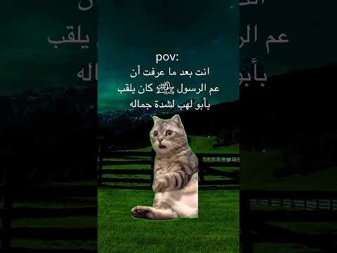 كنت تعرف هذه المعلومه من قبل