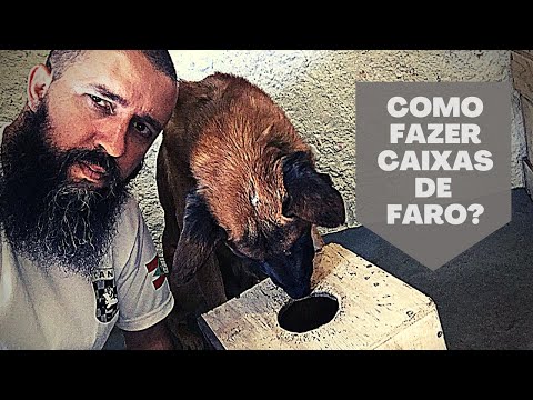 Vídeo: 5 pontas no treinamento da caixa: A maneira agradável de criar um filhote de cachorro