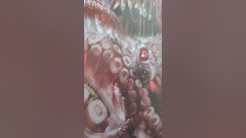 The IMPOSSIBLE Lesser Star Spawn Emissary #dnd5e #dnd