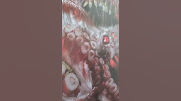 The IMPOSSIBLE Lesser Star Spawn Emissary #dnd5e #dnd