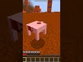 super fanta armor #minecraft #mc #videogame #dog #jackrussellterrier #mod #fantamod #fanta