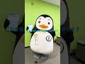 ホゴちゃんのWhat's in my bag？