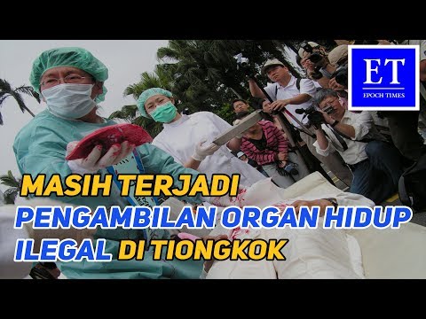 Video: China Mengambil Organ Dari Para Pembangkang Yang Masih Hidup - Pandangan Alternatif