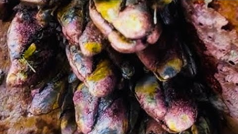 You know what’s this? (15)