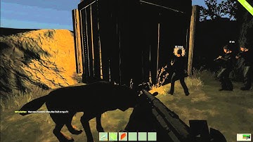 DT Sykesy - Rust - My New Fav Rag Doll