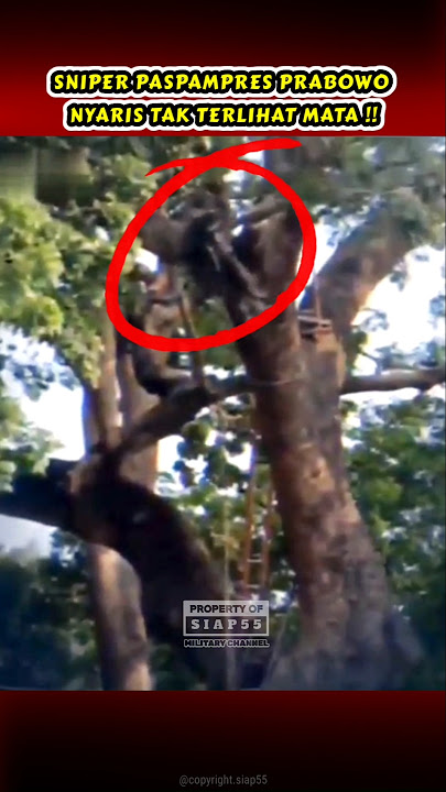 PENYAMARAN SNIPER PRABOWO, TIDAK TERLIHAT MATA #bravo #shorts #siap55