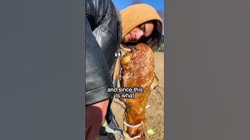 Thumbnail of Can a Katana Cut Through Bone?