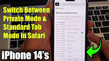 iPhone 14/14 Pro Max: How to Switch Between Private Mode & Standard Tab Mode In Safari