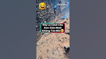 Đây có lẽ là cách câu ĐƠN GIẢN NHẤT, dễ nhất không tốn 1 miếng mồi nào | Fishing