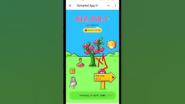 Tomarket🍅 Airdrop Combo 6-7 October | Tomarket Daily Combo Today| Tomarket Secret Combo Unlock Today