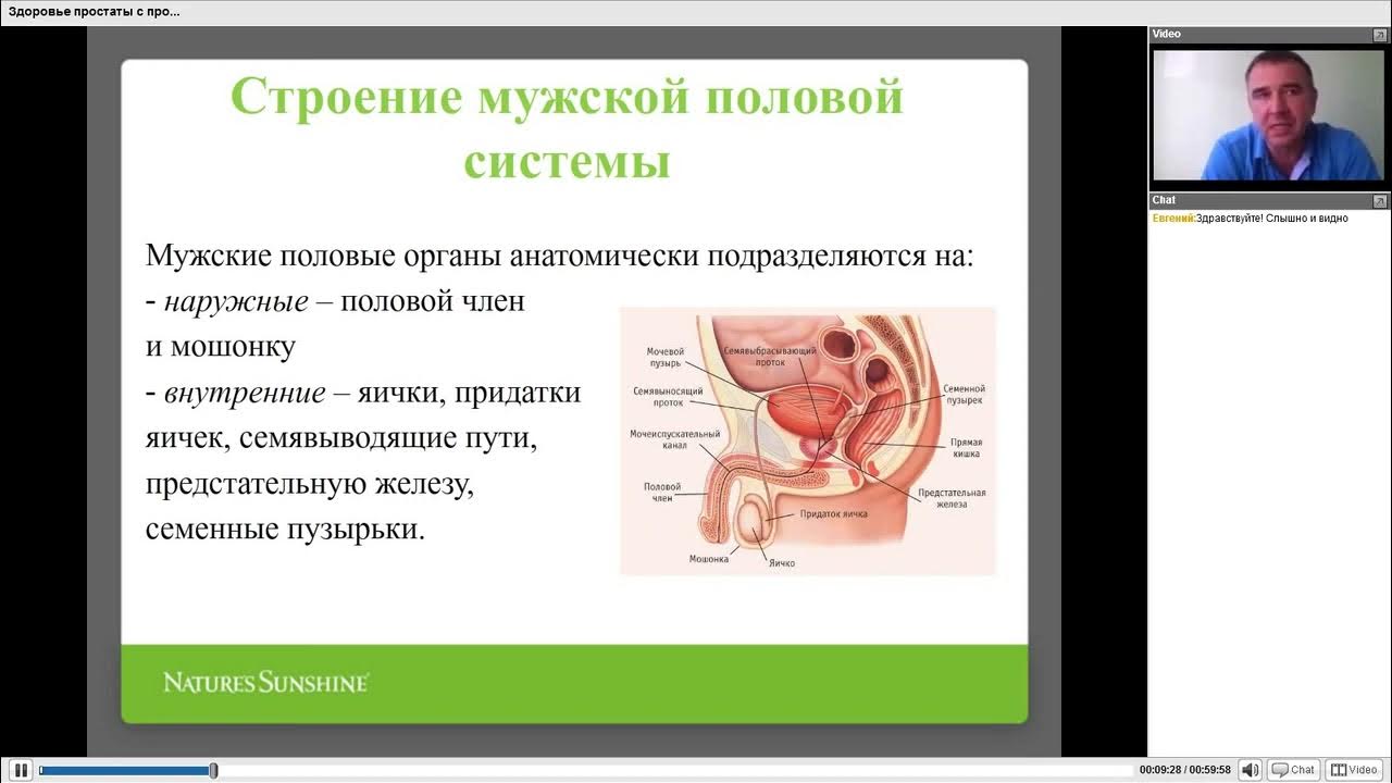 Форум больных простаты. Вебинар о здоровье.