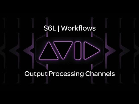 VENUE | S6L — Output Processing Channels