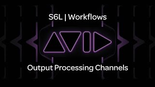 VENUE | S6L — Output Processing Channels