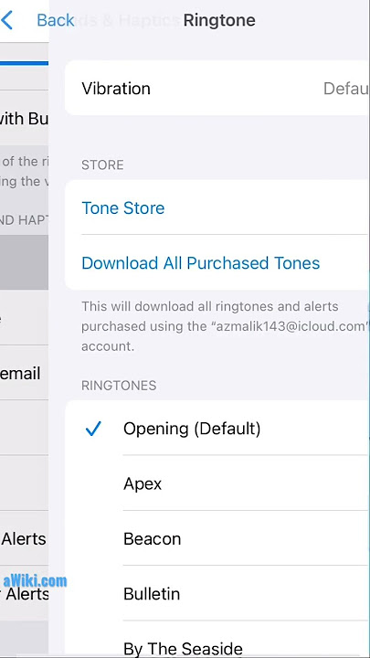 Change Ringtone on iPhone IOS 16, 15 🎶 iPhone Call Ringtone Change Settings