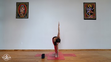 Parivrtta Trikonasana - Twisted Triangle Pose