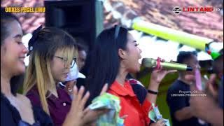 MILIKKU // NEW OPL (ORKES PEGAL LINU) //14 DESEMBER 2025 // NANGGERANG // BINONG