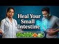 How to Heal Your Small Intestine: Ancient Wisdom + Modern Science for Gut Repair