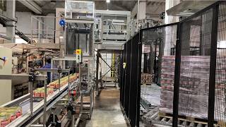 26003 - PALLETIZZATORE STRATO FARDELLI CON DEVIATORE ED ELEVATORE