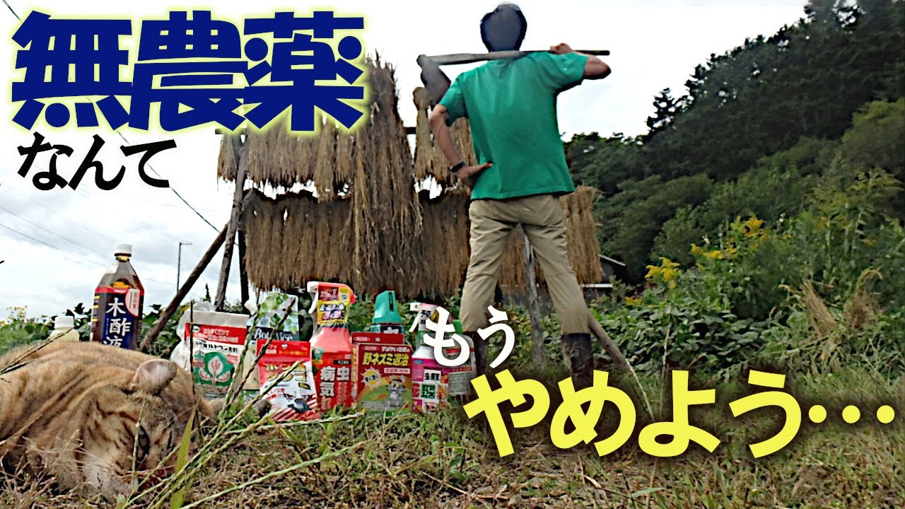 Let's stop with 