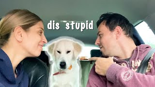 Taking My Golden Retriever Inside The Carwash! Funny Dog Videos