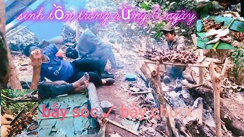 6 Ngày Đêm Sinh Tồn Trên Đồi Núi Tây Bắc – Bẫy Sóc, Săn Chuột Và Ẩm Thực Hoang Dã Vùng Cao #baysoc 