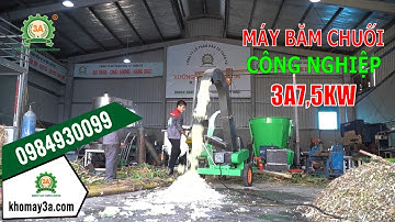 Máy Băm Chuối Cây Công Nghiệp 3A7,5kW Phục Vụ Chăn Nuôi Trang Trại