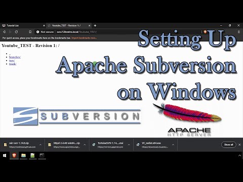 Setting Up Apache Subversion on Windows