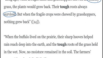 Wit and Wisdom Module 2 Lesson 3 Deep Dive