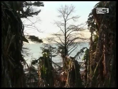 გაიცა თუ არა ბიძინა ივანიშვილის სურვილით აჭარის მთავრობაში განკარგულება