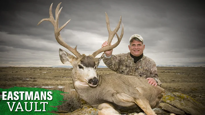 30-Inch Buck! Mike Eastman Hunts Mule Deer