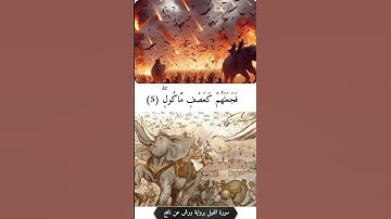 سورة الفيل بروايه ورش عن نافع